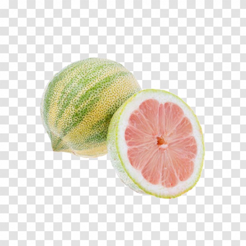 Grapefruit Key Lime Variegated Pink Lemon Lemonade - Citric Acid - Zebra Stripes Products, Map Transparent PNG