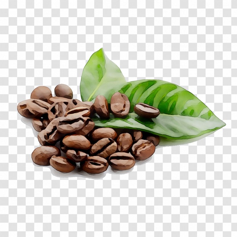 Coffee Bean Cafe Espresso Tea - Roasting - Arabica Transparent PNG
