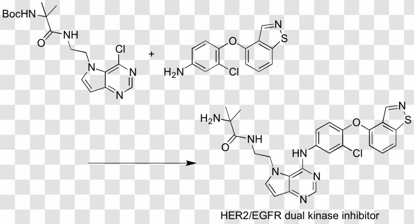 Thionyl Chloride Berberine Reagent - Pharmaceutical Drug - Epidermal Growth Factor Transparent PNG