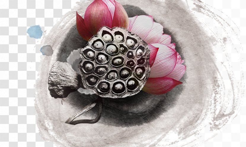 Business Guanyin Poster Merit - Flower - Lotus Seeds Transparent PNG