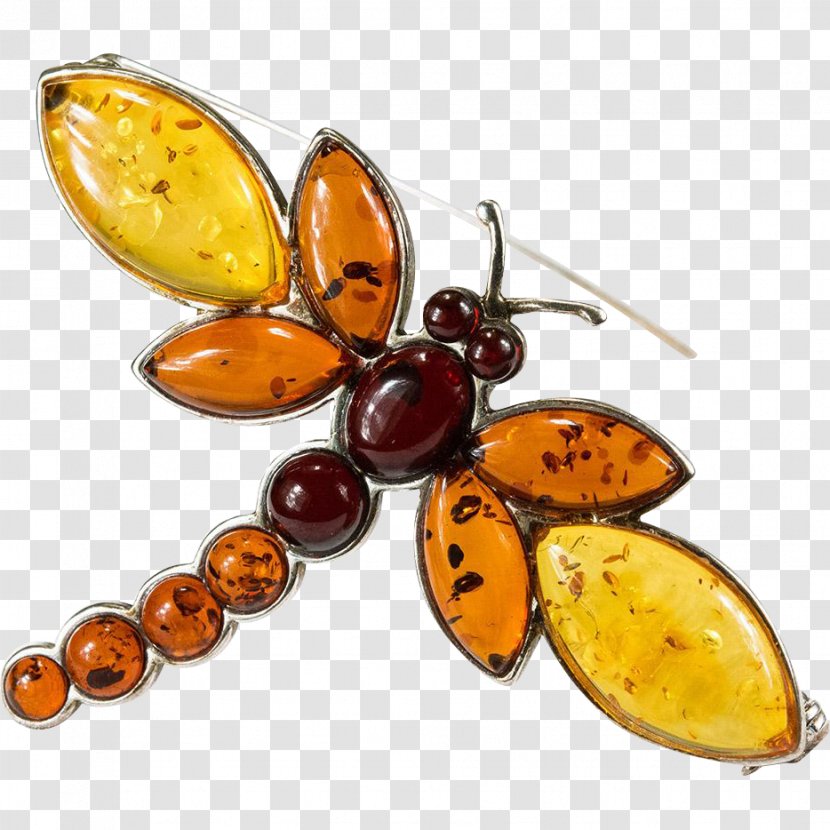 Baltic Amber Insect Dragonfly Brooch Transparent PNG