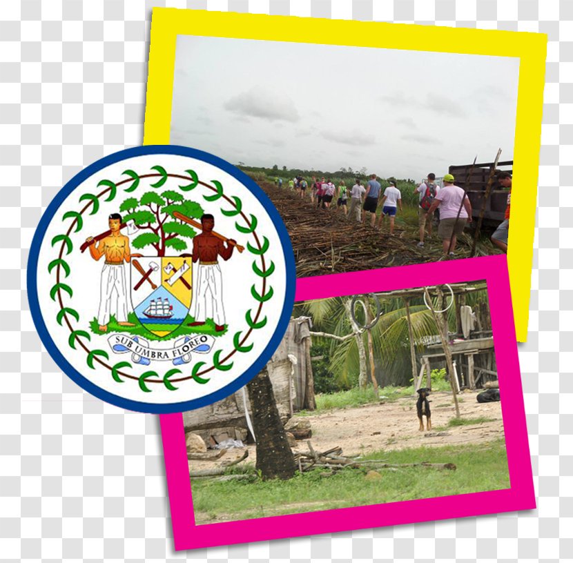 Belize Collindale Golf Course Shutterstock Image - Information - Largest Giant Pacific Octopus Habitat Transparent PNG