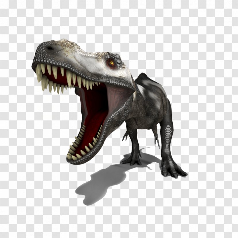 Tyrannosaurus Bird Dinosaur Horse Velociraptor Transparent PNG