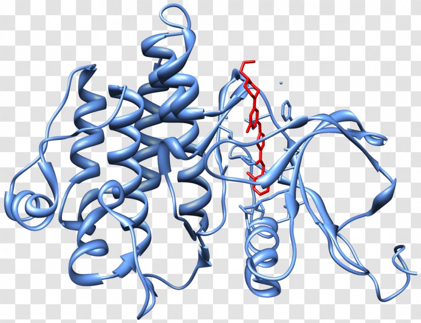 Nilotinib Bcr-Abl Tyrosine-kinase Inhibitor Philadelphia Chromosome - Frame - Heart Transparent PNG