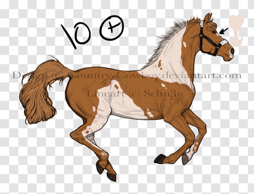 Mustang Pony Foal Stallion Colt - Rein Transparent PNG