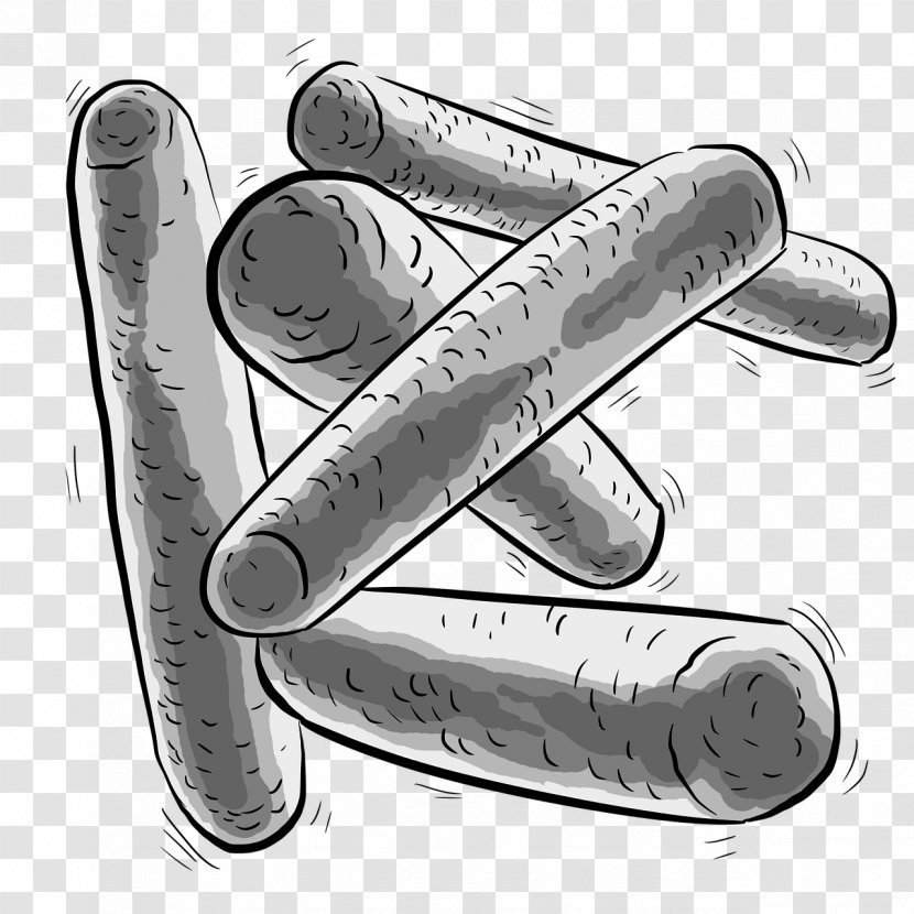 Bacteria Probiotic Lactobacillus Plantarum Prebiotic Dysbiosis - Health Transparent PNG