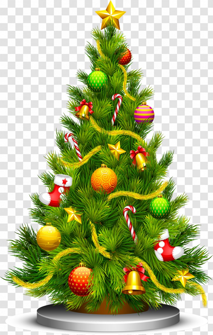 Christmas Tree Clip Art - Pine Family Transparent PNG