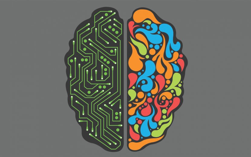 How Your Brain Works Computer Programming Programmer Lateralization Of Function - Flower Transparent PNG