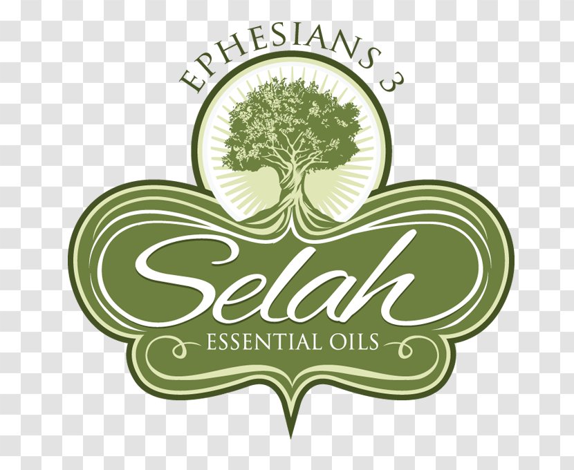 Logo Green Leaf Font - Grass - Carrot Seed Essential Oil Transparent PNG