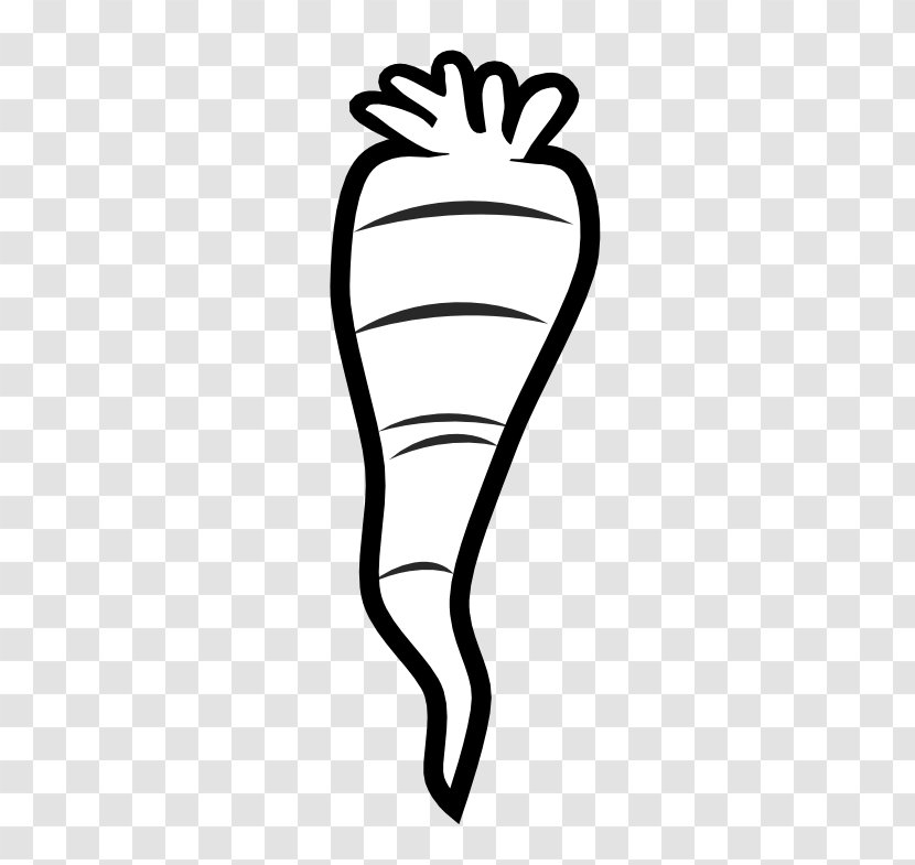Carrot Black And White Arracacia Xanthorrhiza Clip Art - Heart Transparent PNG