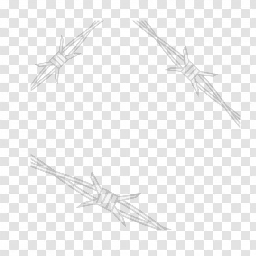 Starfish White Black Line Art Pattern - Simple Rope Transparent PNG