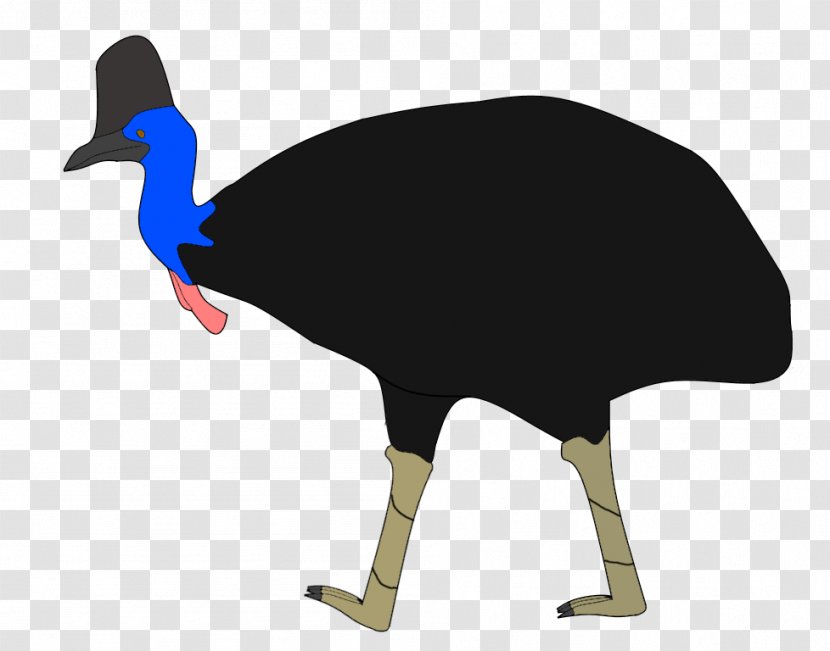 Common Ostrich Cygnini Goose Anatidae Duck - Fowl Transparent PNG