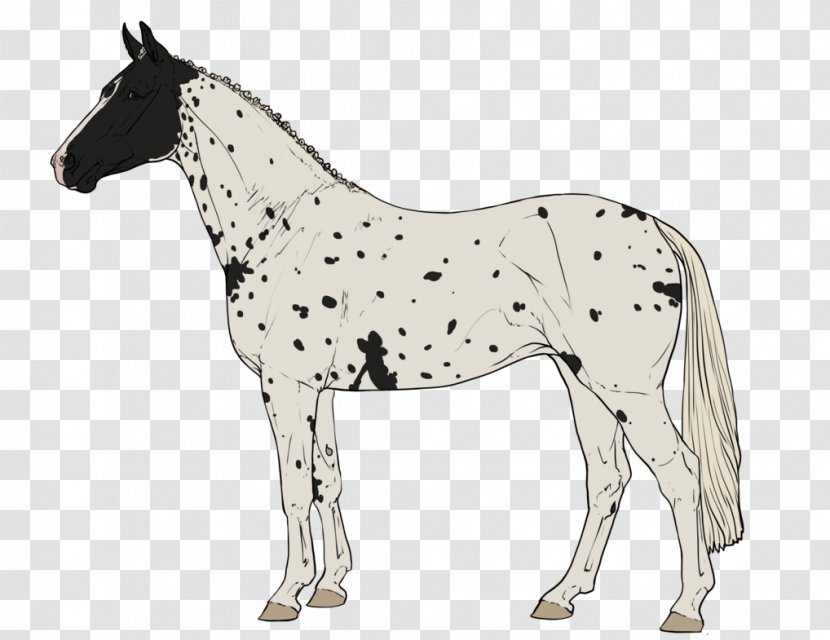 Pony Mustang Foal Stallion Mare - Colt - Spot The Difference Transparent PNG
