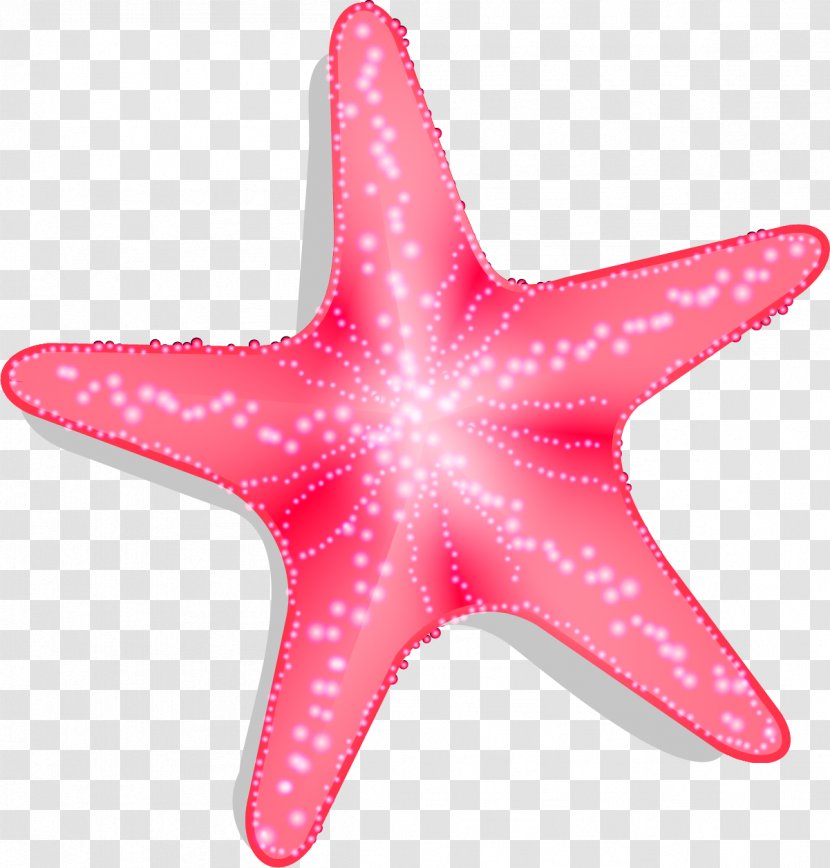 Starfish Pisaster Brevispinus Euclidean Vector - Invertebrate - Hand Painted Red Transparent PNG