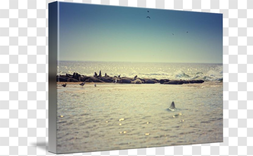 Sea Picture Frames Stock Photography Vacation - Sky Plc Transparent PNG