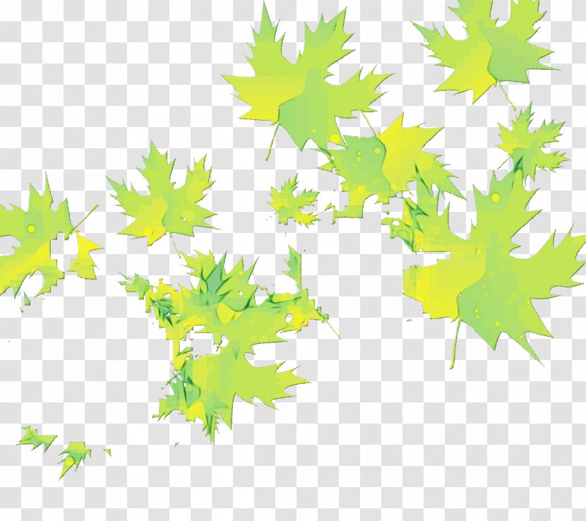 Plane - Watercolor - Black Maple Transparent PNG