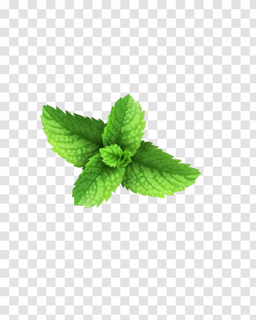 Milkshake Peppermint Green Download - Leaf - Green, Fresh Grass Transparent PNG