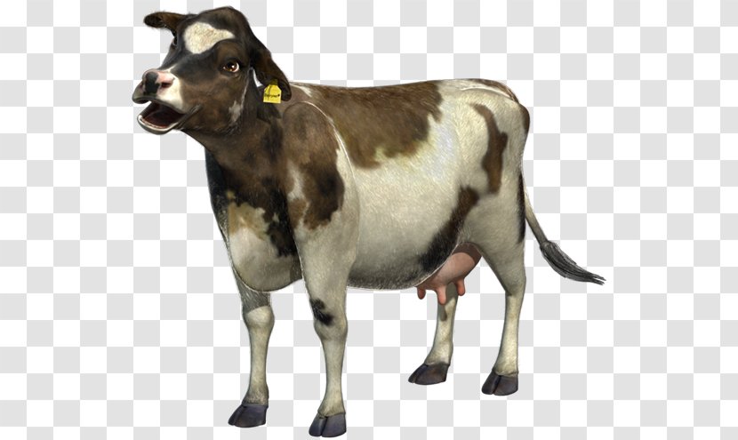 Goat Gelbvieh Cow Moos! Dairy Cattle Farming - Moos Transparent PNG