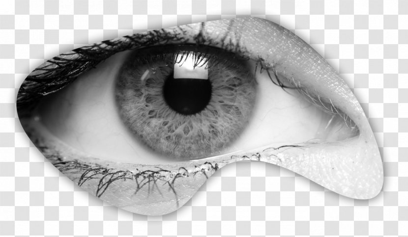 Human Eye Visual Perception Staring Prosthesis - Frame Transparent PNG