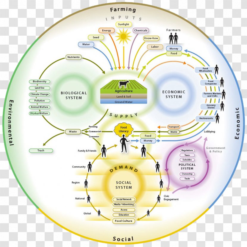 Food Systems Nutrition Organic Agriculture - Industry - Health Programmes Transparent PNG