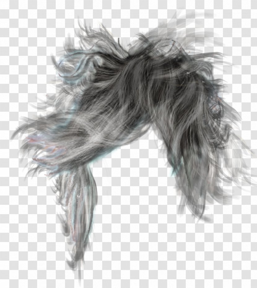Hairstyle Long Hair Wig - Men File Transparent PNG