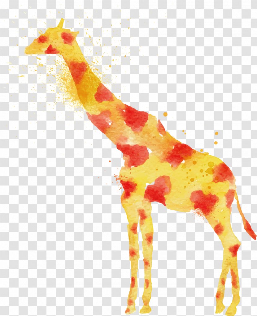 Giraffe Lion Watercolor Painting Drawing - Art - Vector Transparent PNG