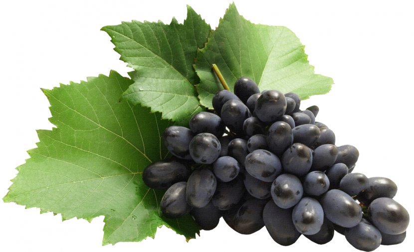 Common Grape Vine Zante Currant Clip Art - Raisin - Grapes Transparent PNG