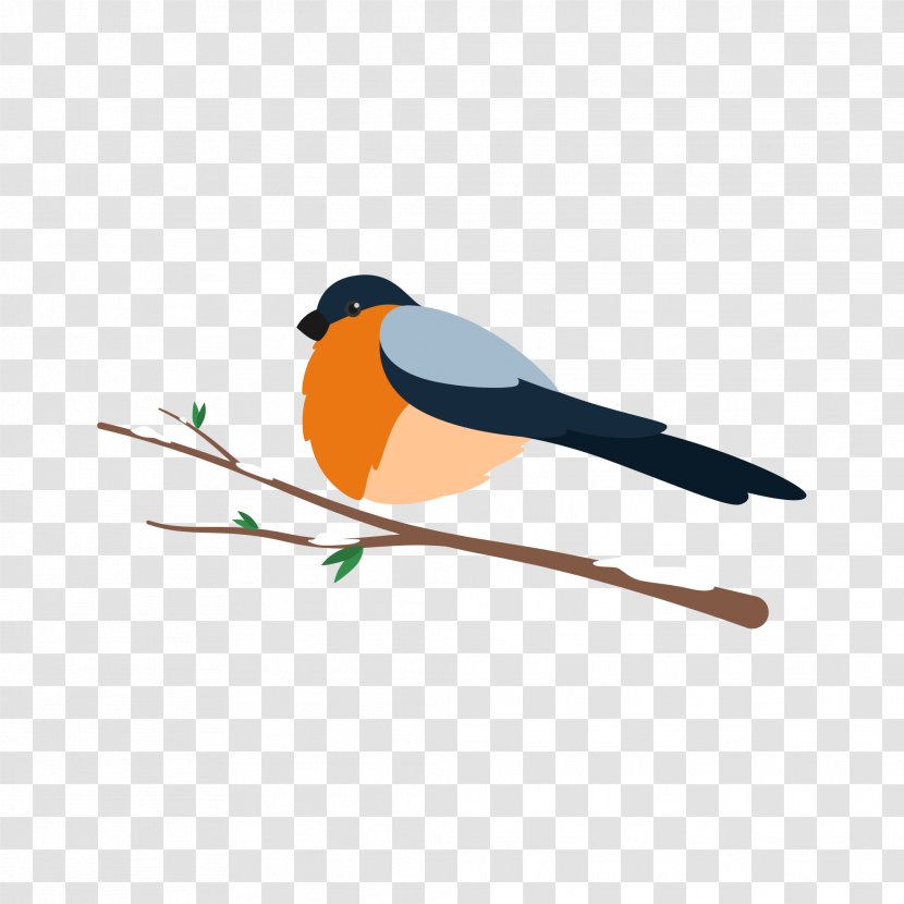 Lovebird Goose Parrot - Wing - Birds Illustration Transparent PNG
