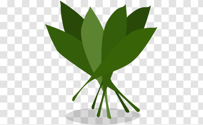 Plant Leaf Tree Font - Greens Transparent PNG