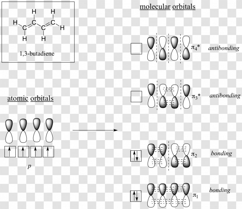 Car Document Body Jewellery - White - Color Level Diagram Transparent PNG