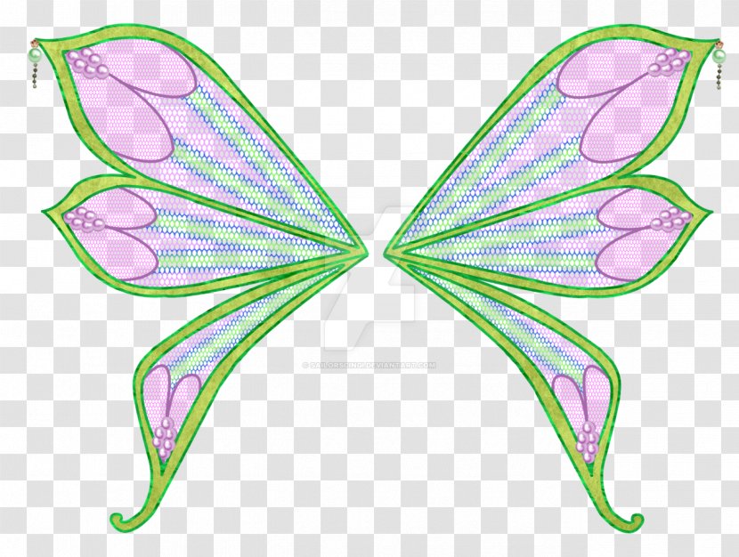 Aisha Flora Bloom Stella Sirenix - Butterfly Transparent PNG