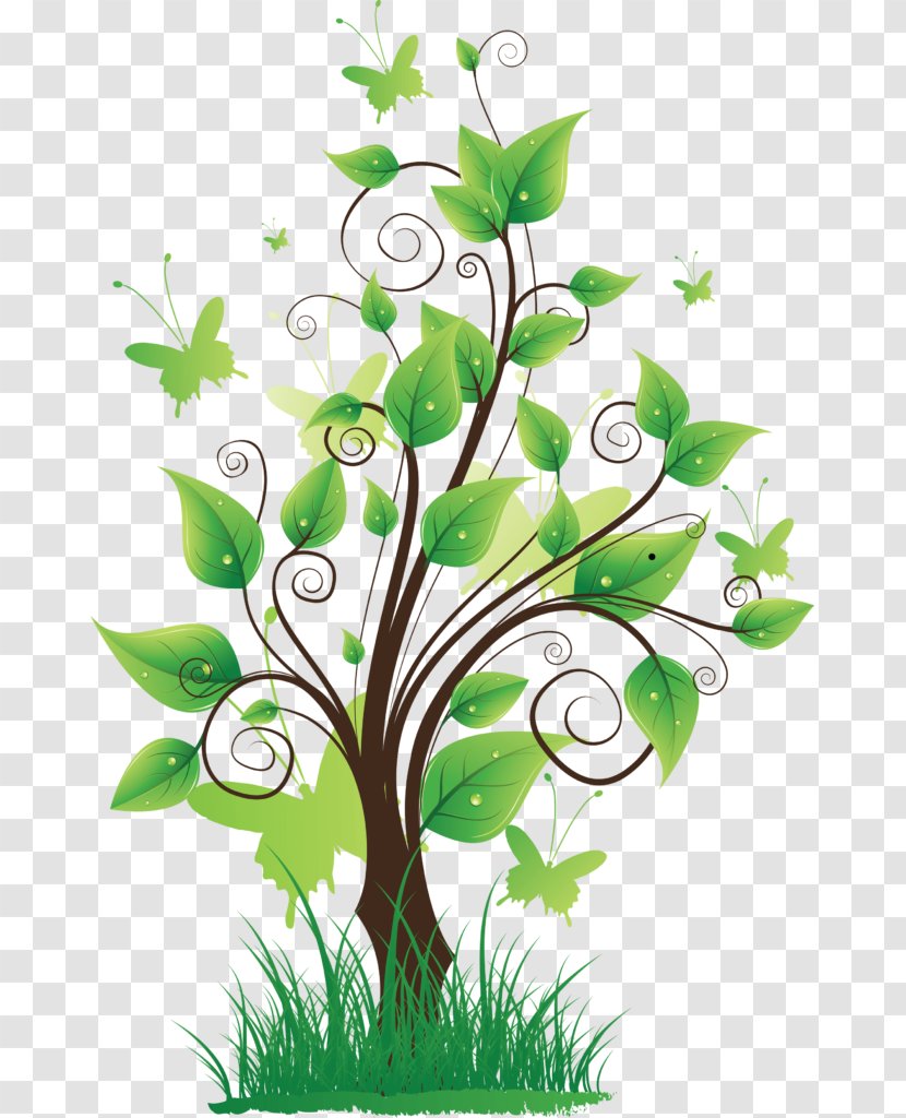 Clip Art Openclipart Image Download - Green - Family Tree Transparent PNG