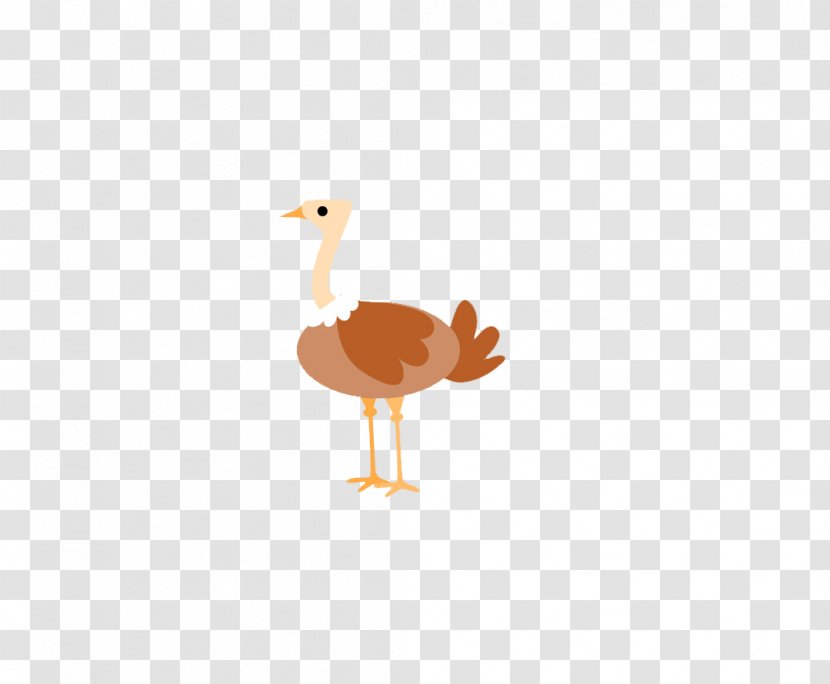 Common Ostrich Bird Goose - Orange Transparent PNG
