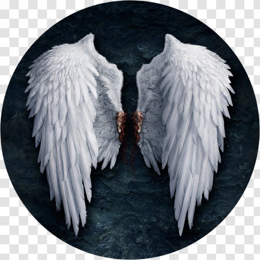 Angels Of The Deep Lucifer Castiel - Angel Wings Transparent PNG