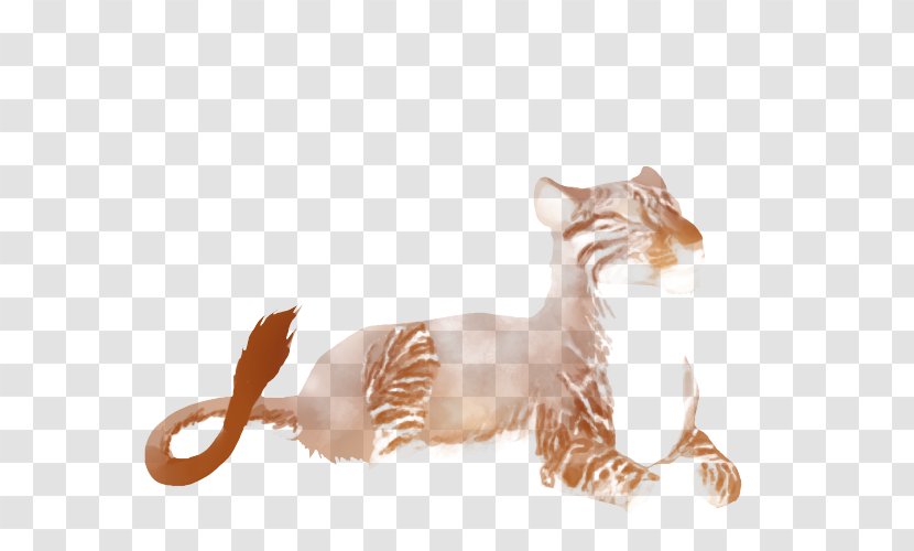 Whiskers Lion Big Cat Hunger - Cats Transparent PNG