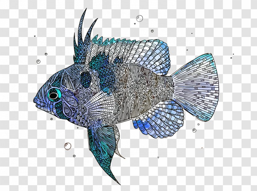 Fish - Organism - Vector Fishes Transparent PNG