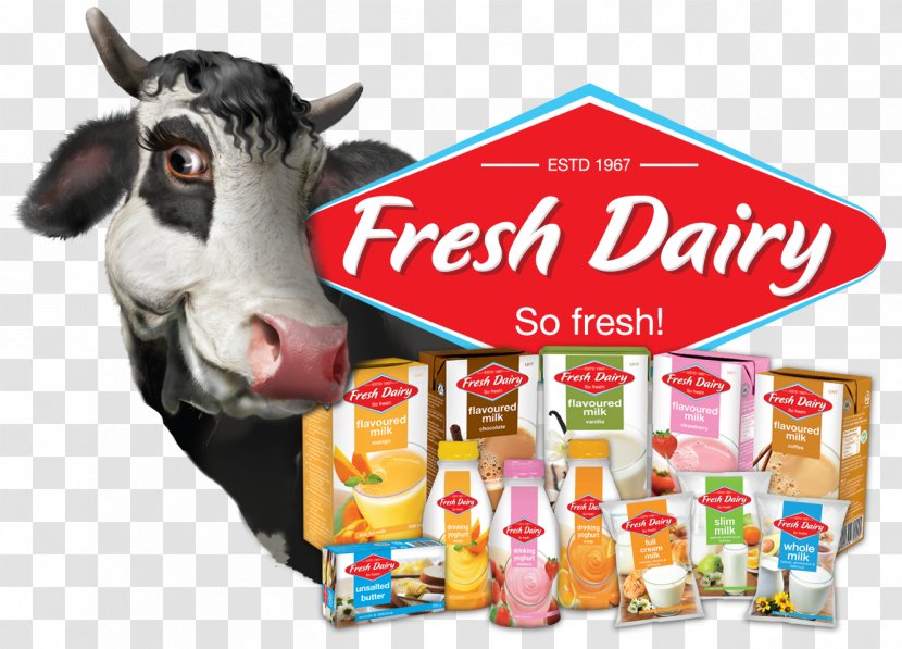 Milk Cattle Dairy Products Food Transparent PNG