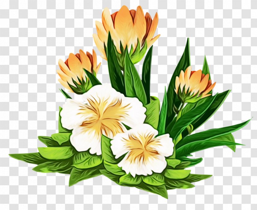 Lily Flower Cartoon - Arranging - Artificial Tulip Transparent PNG