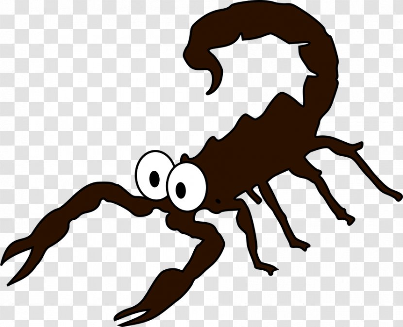 Scorpion Insect Drawing Clip Art - Cartoon Transparent PNG