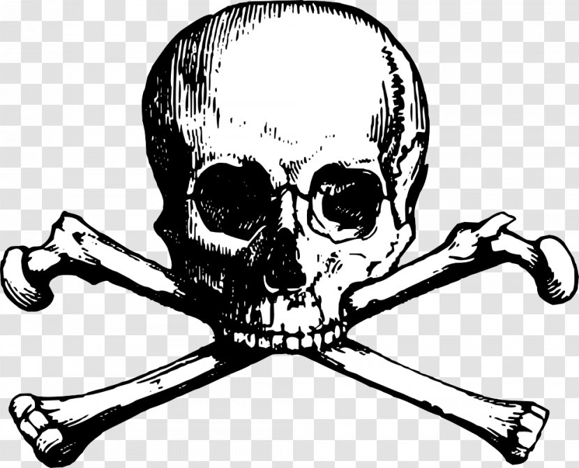Skull And Bones Crossbones Clip Art - Cartoon - Vector Transparent PNG