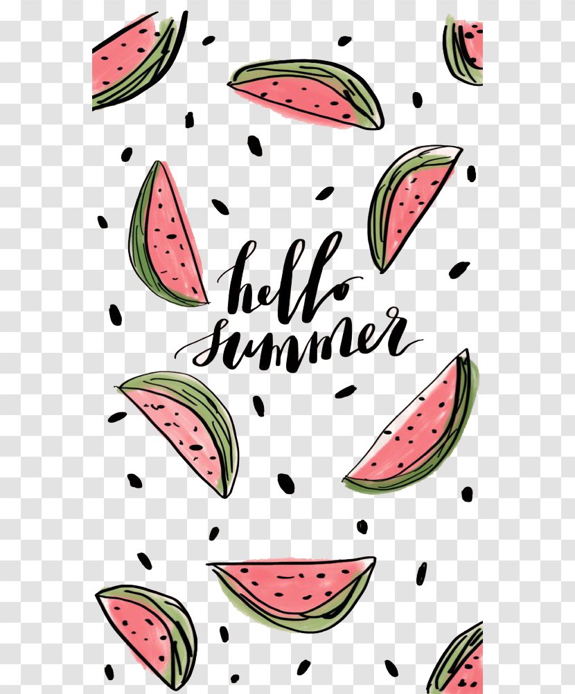 Watermelon Summer Wallpaper - Citrullus - Hello Transparent PNG