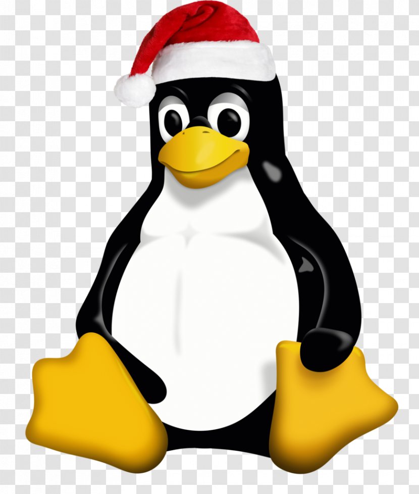 Linux Distribution Operating Systems Ubuntu Kernel - Debian Transparent PNG