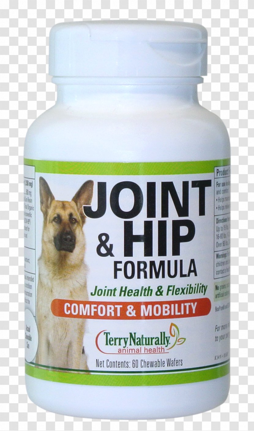 Dietary Supplement Dog Terry Naturally Health Food Store Joint Snout - Hip - Thyroid Cartilage Transparent PNG