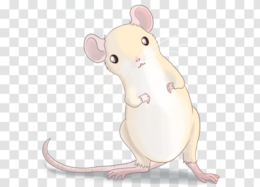 Whiskers Nose Computer Mouse Carnivores Fauna - Altair Cartoon Transparent PNG