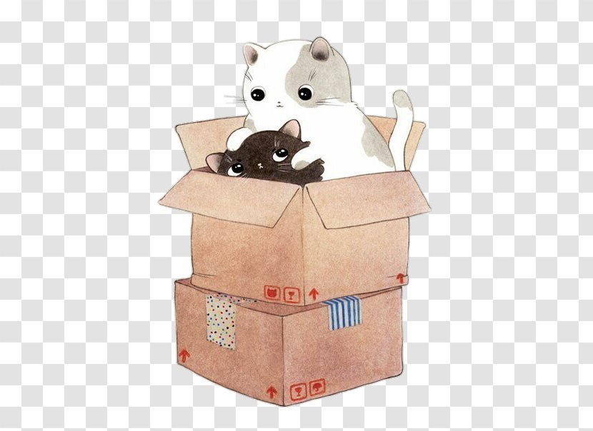 Feral Cat No Kitten - Box Transparent PNG