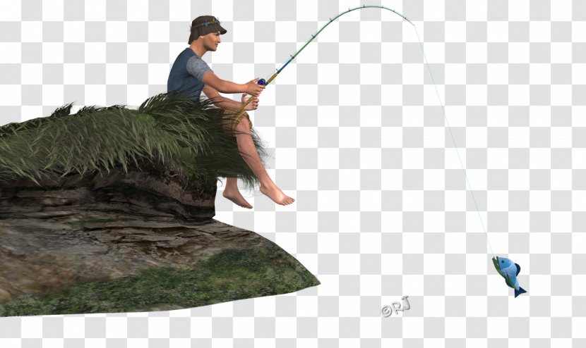 Fishing Rods Recreation Tree Transparent PNG
