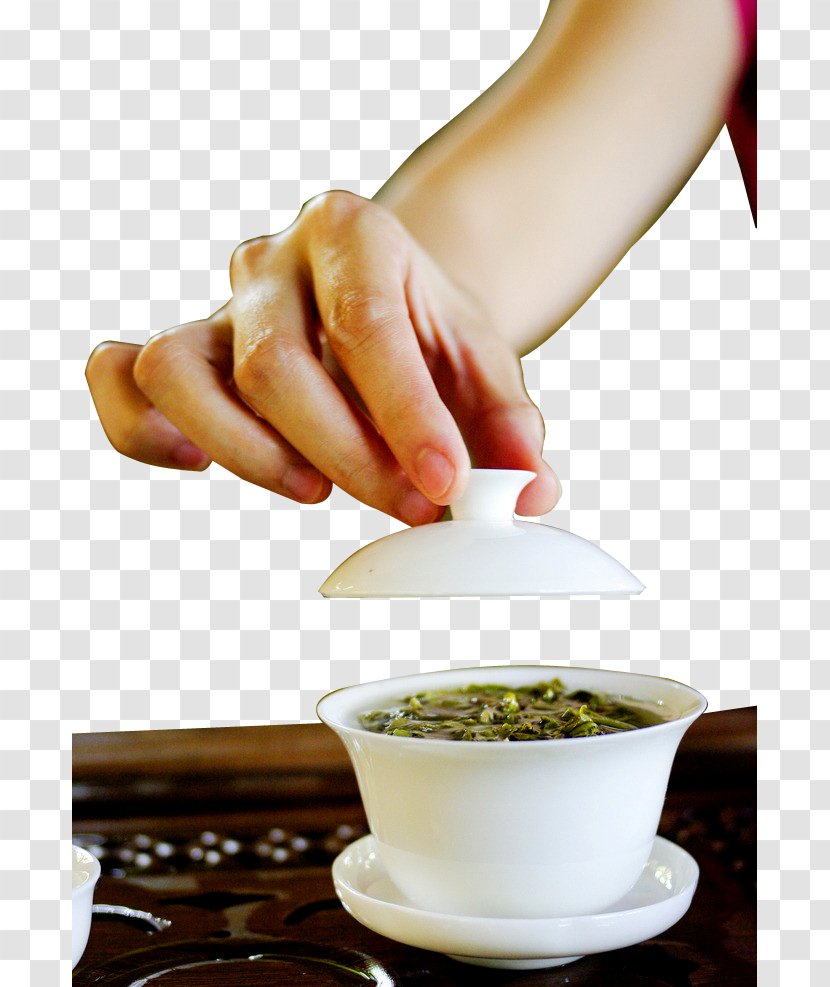 Green Tea Oolong Tieguanyin Stock Photography - Alternative Medicine - Cups Transparent PNG