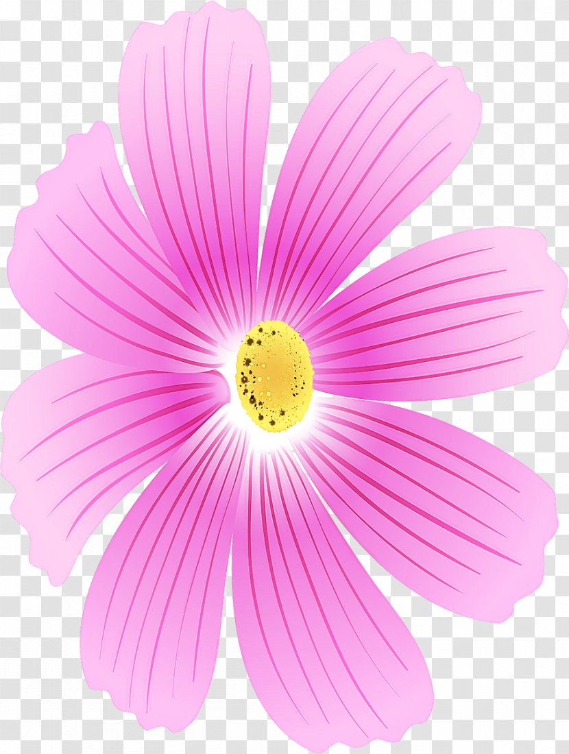 Flowering Plant Petal Flower Pink Barberton Daisy - Gerbera Herbaceous Transparent PNG