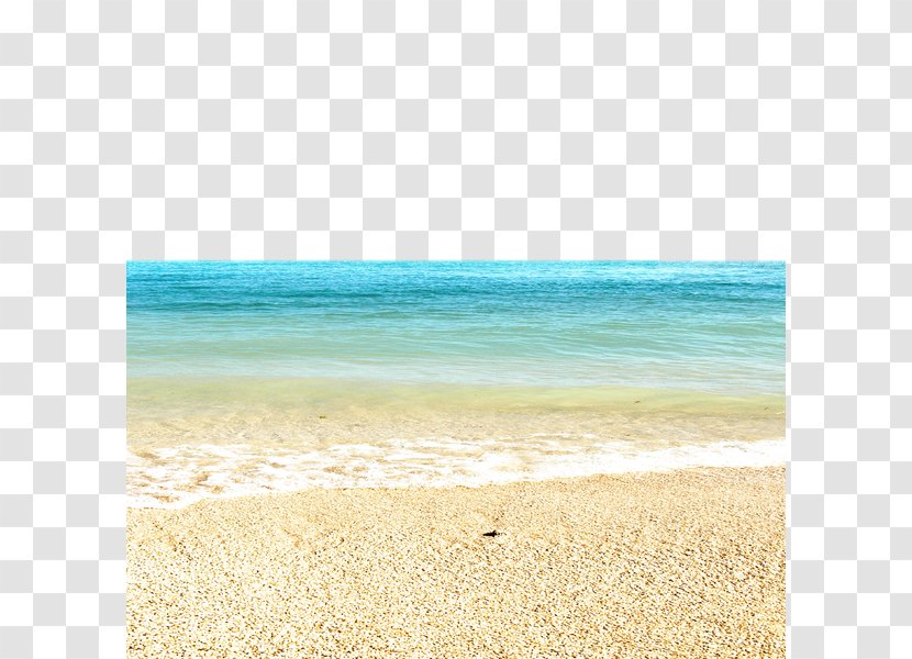 Sea Summer Vacation Turquoise - Seaside Beach Transparent PNG