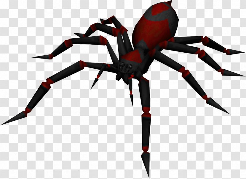 RuneScape Spider Is It Poisonous? Scorpion - Roach Transparent PNG